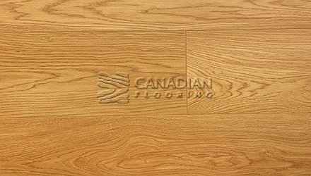 CANFLOOR BOUTIQUE 12.0 mmColor: H-302 Laminate flooring