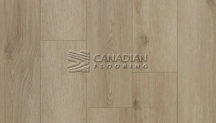 Biyork Riptide Waterproof Laminate 7.5" x 12 mm  Color: Rain Dance Laminate flooring