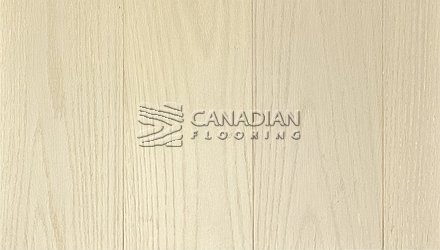Engineered Oak, Tosca, Prestige Collection, 6.5" x 3/4", <br>Color: Cream Grey