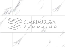 Luxury Vinyl Flooring, Fuzion, 8.3 mm, Color: Moon Glow

                                 Vinyl Flooring Brantford