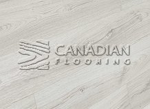 Grandeur, 12 Collection, Water Resistant, 8" x 12 mm  Color: Kalas Albar
                                 Laminate Flooring Scugog