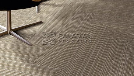 Carpet Tile Flooring Elmvale 7701 Series<br>Color: Forest Grove