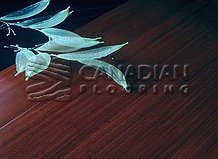Solid Brazilan Cherry (Jatoba), SUNCA,  3-1/4" x 3/4",  Color:  Royal
                                 Hardwood Flooring Brampton