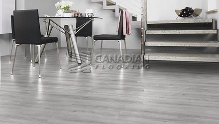 Fuzion Euro Classic 8.0 mm Color: Grandview Laminate flooring